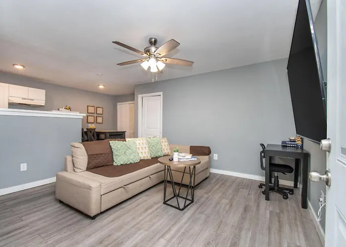 Htx Spacious Apt I Parking I Near Dtown I Nrg